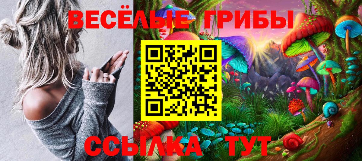 Псилоцибиновые грибы MAGIC MUSHROOMS Дзержинский